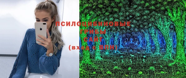 мдпв Балабаново