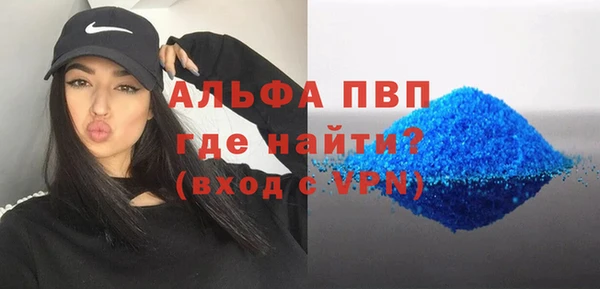 сатива Баксан