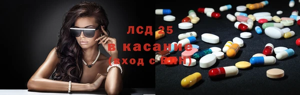 сатива Баксан
