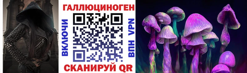 Псилоцибиновые грибы Psilocybine cubensis  Москва 